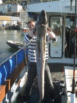 60lb conger