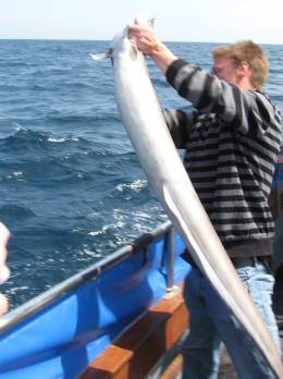 returning conger