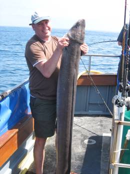 conger