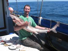 38lb tope - CLICK