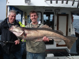 17lb pollack - CLICK 17lb pollack - CLICK