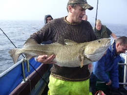 28lb cod - CLICK 28lb cod