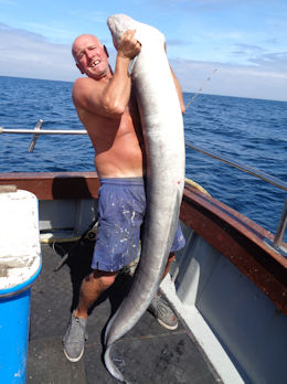 68lb conger