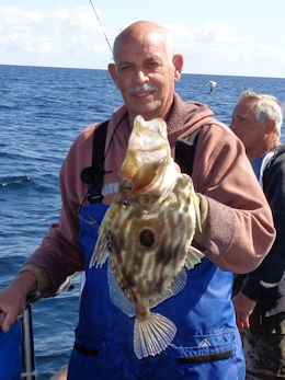 3lb John Dory