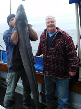 75lb conger