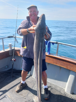 30lb conger