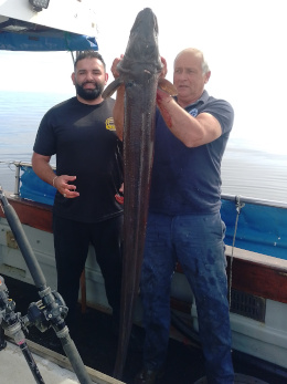 40lb conger