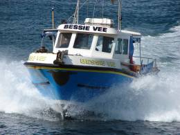 coming into harbour